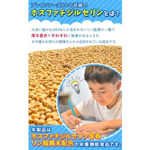 ポイント4倍 5set ホスファチジルセリン 133 4mg 子供 サプリ 子供用サプリ Iqサプリ Psサプリ ビタミン イチョウ葉 国内製造 栄養機能食品 二つ折り財布 ダイエット 健康 サプリメント Laboratorio2 Ejeet Com Br