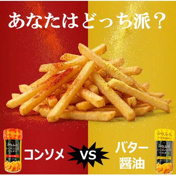 フライドポテト パウダー シーズニング 100g 2個 セット ふるポテ シャカシャカ