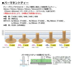LITE -ライト- パーマネントティー(30...の詳細画像1