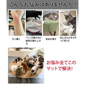 ペットマット 滑らない 夏用 爪とぎマット 多...の詳細画像2