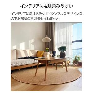 ペットマット 滑らない 夏用 爪とぎマット 多...の詳細画像4