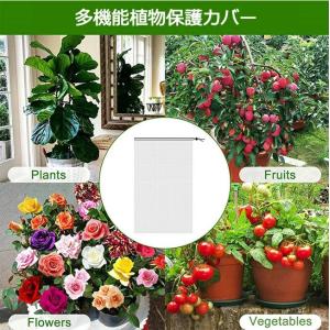 植物保護カバー 園芸野菜栽培 防鳥ネット ファ...の詳細画像4