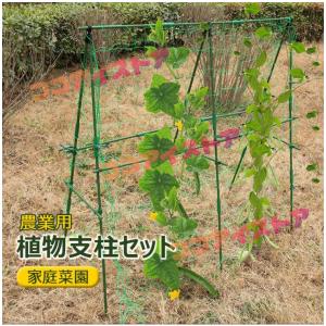 植物支柱 園芸支柱 つる植物棚支柱 組み立てかんたん棚支柱セット つぎ足し 継ぎ足し式 キュウリ 支柱 ゴーヤ きゅうりネット 合掌作り