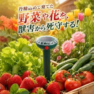 2個セット 動物撃退器 超音波 害獣対策器 ソ...の詳細画像4