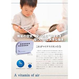 ランキング1位【最新型】滝風イオンメディック ...の詳細画像3
