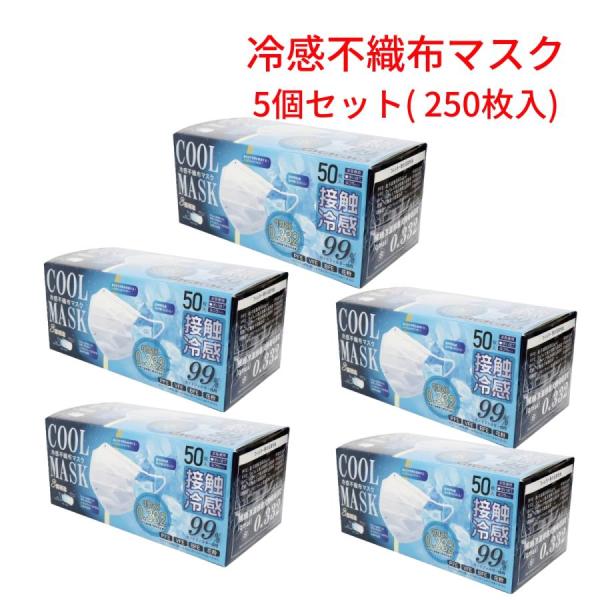 冷感不織布マスク ホワイト 50枚入×5個（合計250枚入り） 接触冷感 冷感マスク ひんやり HI...