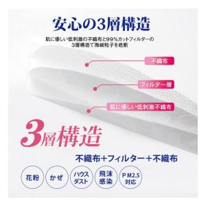 爆買 快適 ダブルワイヤー不織布マスク 50枚...の詳細画像2