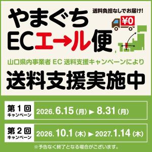 爆買 快適 ダブルワイヤー不織布マスク 50枚...の詳細画像5