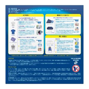 爆買 OXICLEAN オキシクリーン 粉末 ...の詳細画像1