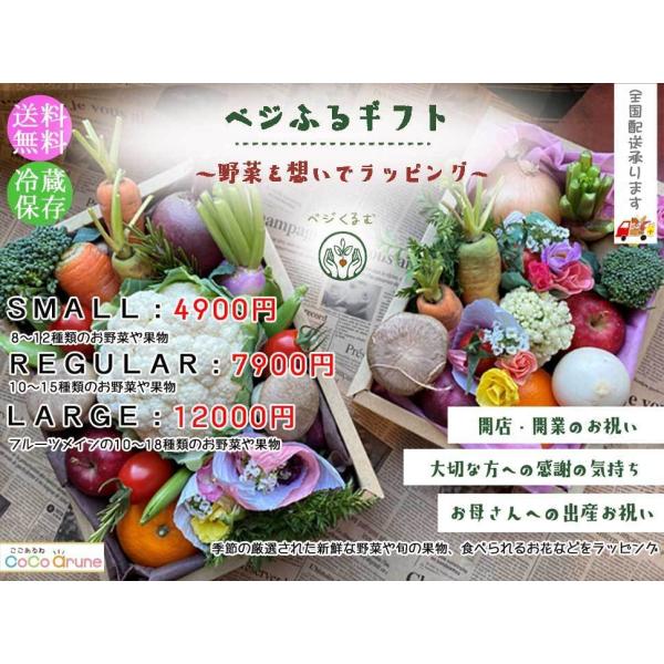 【送料無料】ベジふるギフト〜季節の野菜＆果物　開店祝い　贈り物　内祝い　旬の野菜　旬の果物