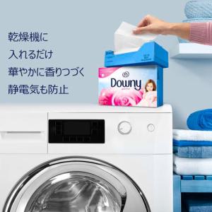 ダウニーシート エイプリルフレッシュ 120枚...の詳細画像5
