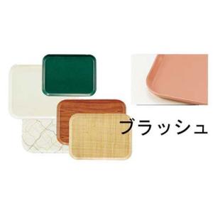 CAMBRO キャンブロ カムトレー ブラッシュ FRP 1014
