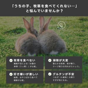 うさぎ 牧草 チモシー ハイペット チモシーの...の詳細画像2