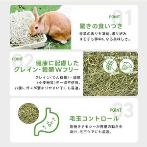 うさぎ 牧草 チモシー ハイペット チモシーの...の詳細画像4