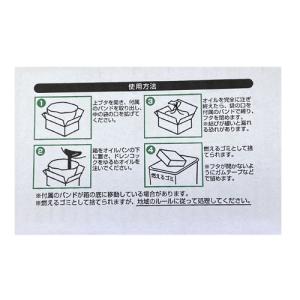 CAPS MOLY GREEN オイル交換用ポ...の詳細画像1