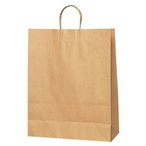 手提袋 クラフト(50枚入)の商品画像