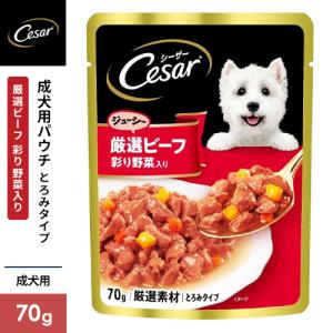 マースジャパン シーザー パウチ 厳選ビーフ入り チーズ・野菜入り