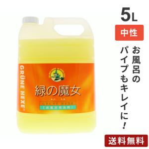 ミマスクリーンケア 緑の魔女 バス用洗剤 5L 業務用 お風呂 洗剤 バス用 掃除 液体洗剤 中性 手に優しい エコ洗剤 浴室掃除 お風呂用洗剤 水アカ掃除☆★