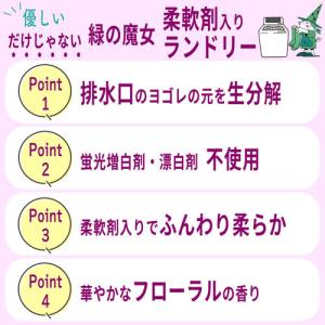 ミマスクリーンケア 緑の魔女 ランドリー 柔軟...の詳細画像3