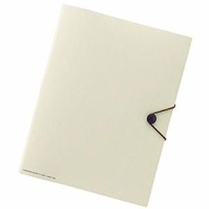 LIHIT LAB リヒトラブ SMART FIT キャリングポケット A4 ベージュ F-7528...