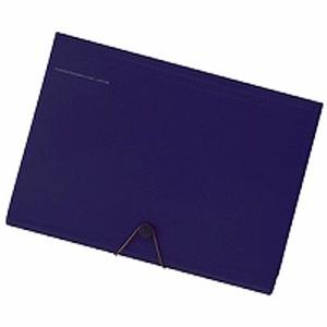 LIHIT LAB リヒトラブ SMART FIT キャリングドキュメント A4 ネイビー A-75...