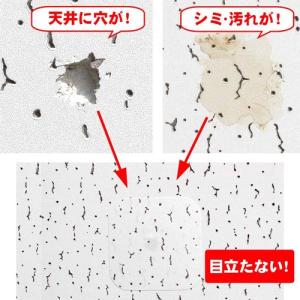 和気産業 天井シール A4 ソーラトン 210...の詳細画像2