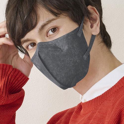 アイリスオーヤマ DAILY FIT MASK 立体 ふつうワイド 5枚入 RK-F5MXR チャコ...