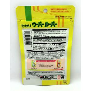 キョーリン ひかり ウーパールーパー 30gの詳細画像1