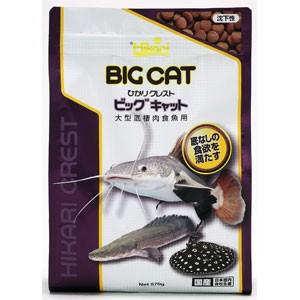 キョーリン ひかりクレスト ビッグキャット 57...の商品画像