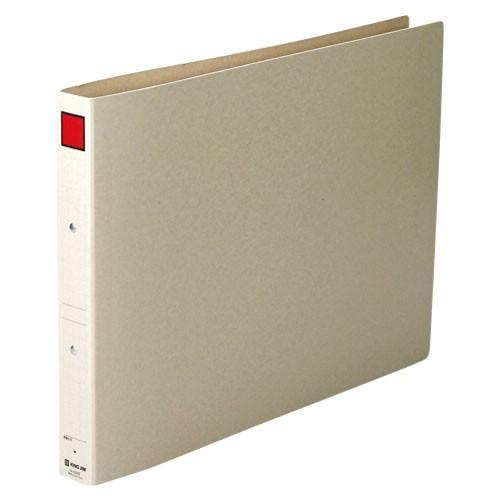 キングジム KING JIM 保存ファイル A3E 3cm 5303E