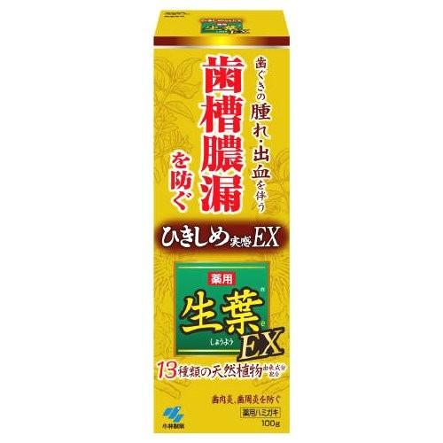 小林製薬 薬用 生葉EX 100g