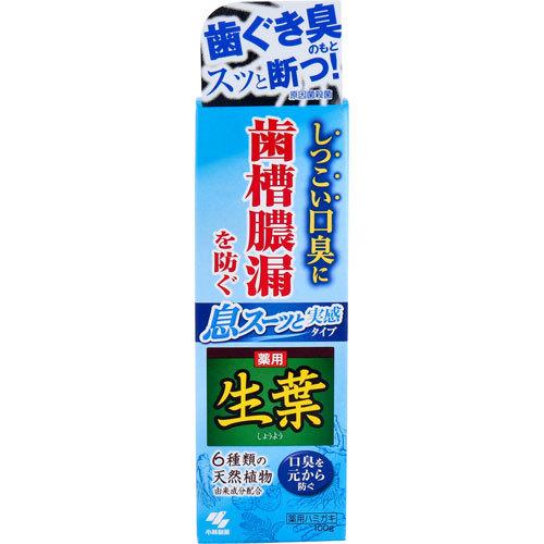 小林製薬 生葉 しょうよう 息スーッと実感タイプ 100g