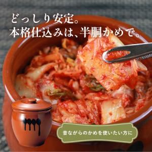 陶器 蓋付半胴かめ 8号 14.4L 漬物 味...の詳細画像1