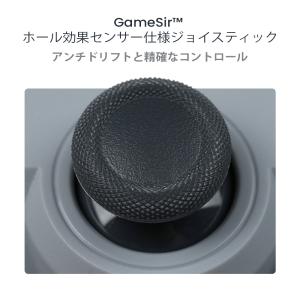 GameSir Tegenaria Lite ...の詳細画像5