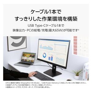 iiyama イイヤマ モニター ProLit...の詳細画像1