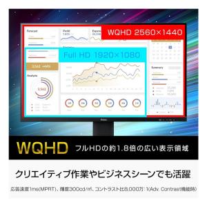 iiyama イイヤマ モニター ProLit...の詳細画像2