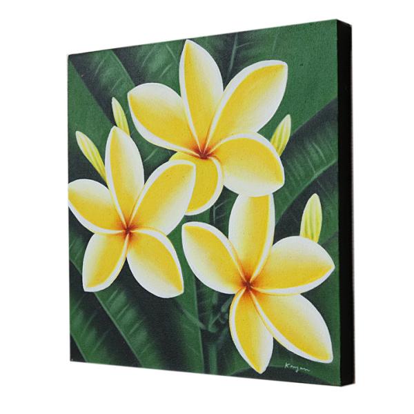 バリ絵画 プルメリア13(40×40cm)   花   壁掛け バリ風 インテリア バリアート ハワ...