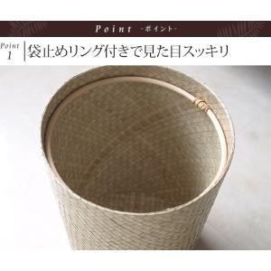 ダストボックス(パンダン) 袋止めリング付き ...の詳細画像1