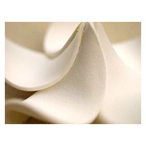 プルメリアの造花M(5個セット)(リアル) 南...の詳細画像2