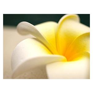プルメリアの造花M(5個セット)(リアル) 南...の詳細画像3