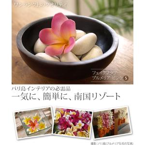 フェイクフラワー プルメリアS(5個セット)(...の詳細画像1