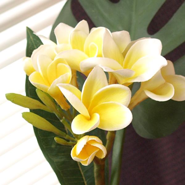フェイクフラワー プルメリア(枝葉付)(イエロー)   造花 アーティフィシャル フラワー インテリ...