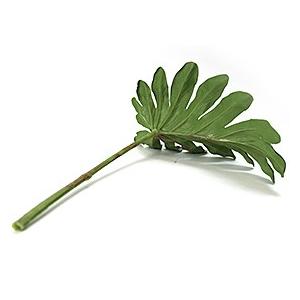 クッカバラ(2枚セット) 造花 タニワタリ バ...の詳細画像1