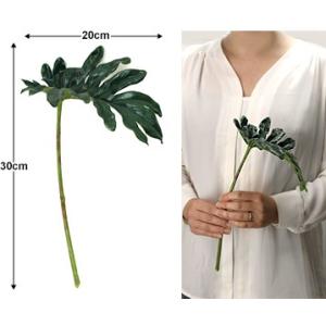 クッカバラ(2枚セット) 造花 タニワタリ バ...の詳細画像4