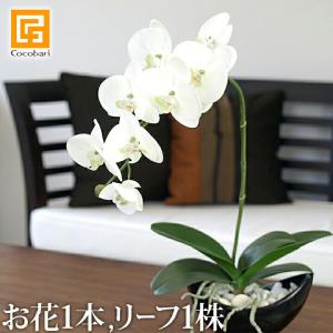 アートフラワー用こて コテセット : 風花Hu-Ka Yahoo!店 - 通販
