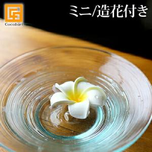 生け花 花器 アクリル水盤剣山セット プレミアムカラー 池坊 自由花