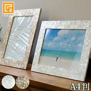 フォトフレーム(シェル)A4判用(2色展開) 壁...の商品画像
