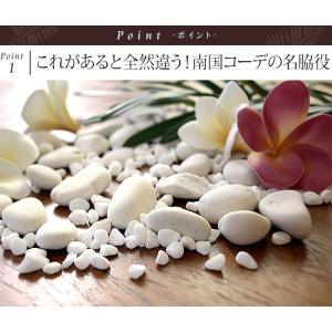 ナチュラルストーン(SS)スノーホワイト 化粧...の詳細画像1