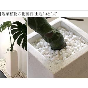 ナチュラルストーン(SS)スノーホワイト 化粧...の詳細画像4