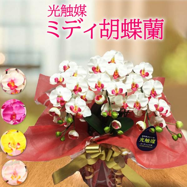 ミディ胡蝶蘭 光触媒 3本立ち 小型 大輪風 造花 ギフト 誕生日 お供え 開店祝い プレゼント 仏...